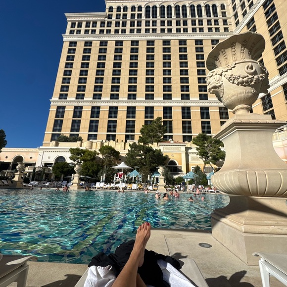 Meet your Posher, Latice - Picture 4 of 6